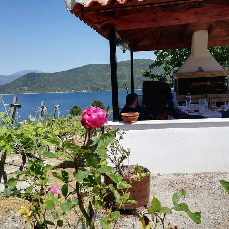 a bush of roses in the background of Vriniotis Winery stone oven and tourists sitting on the table
